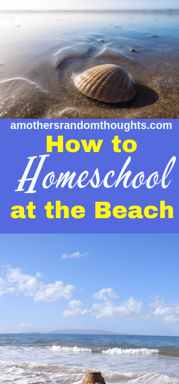 How to Homeschool at the Beach