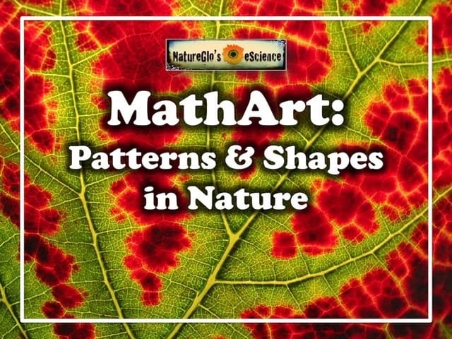 MathArt: Patterns & Shapes in Nature science unit study