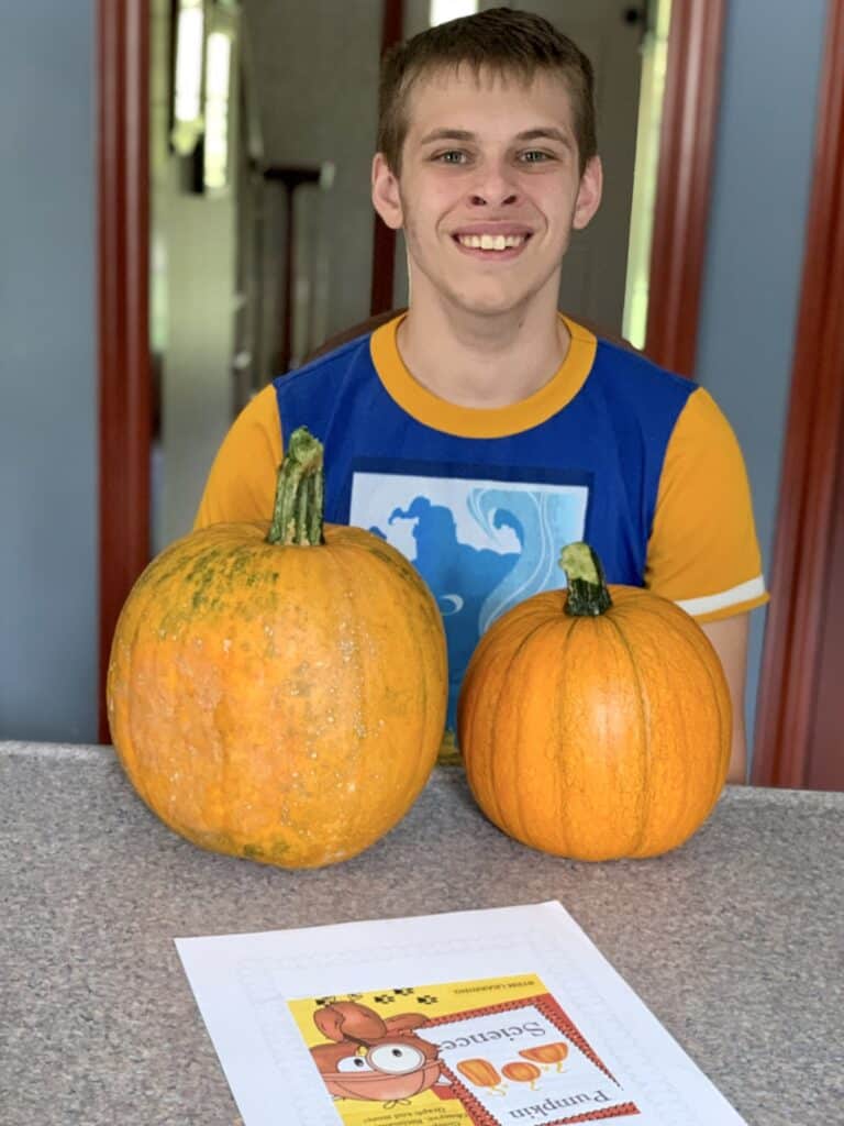 Two pumpkins sitting in front of a boy. Pumpkin science
