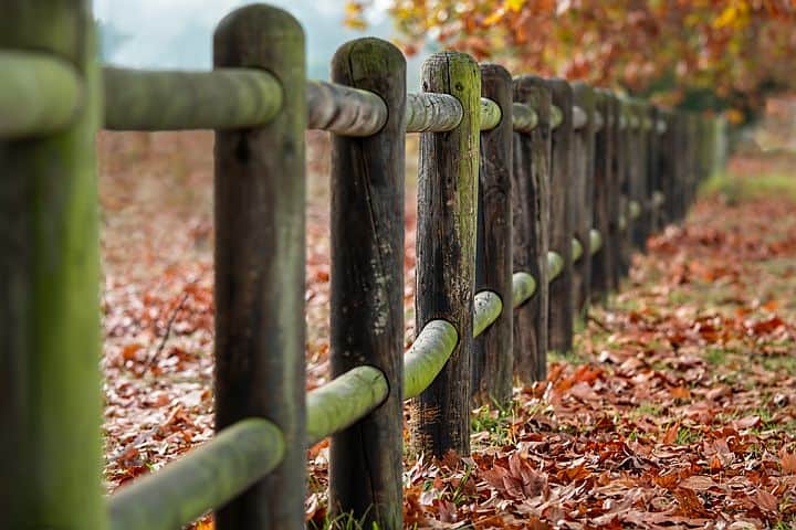 Setting boundaries - fence in fall