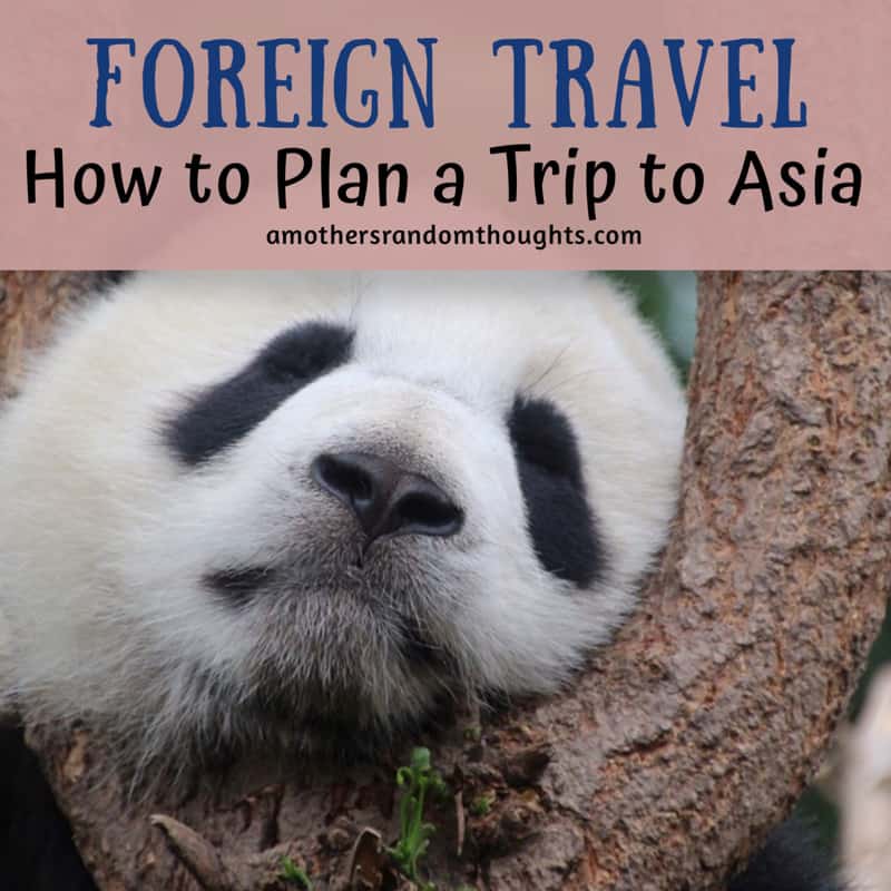Foreign Travel Asia