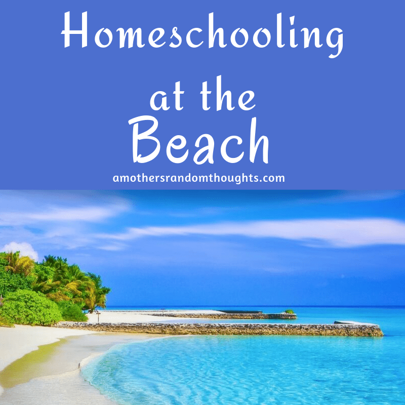 Homeschooling at the beach
