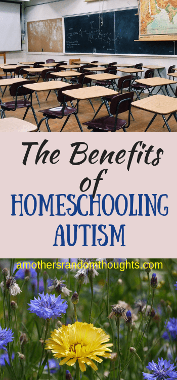 Benefits of Homeschooling an Autistic Child. 