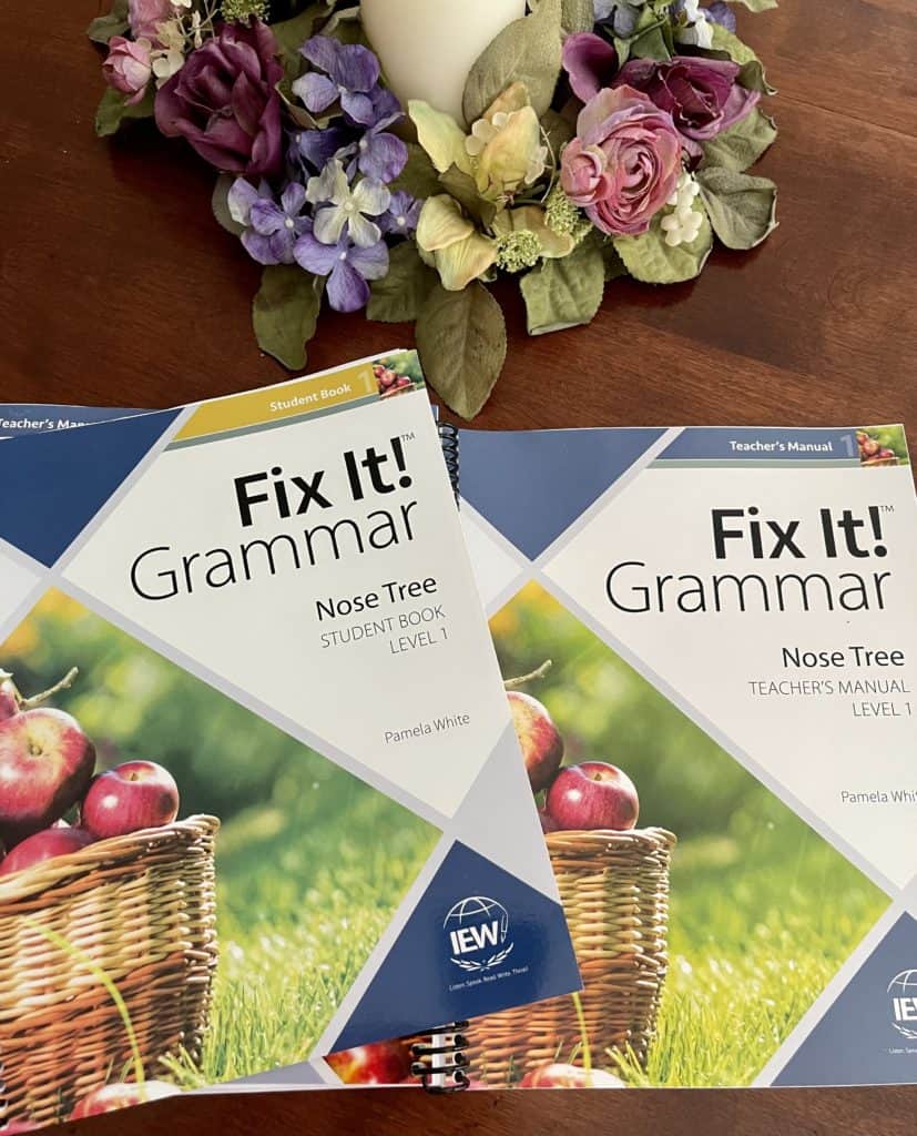 Fix It Grammar Teacher's Manual and Student Workbook
