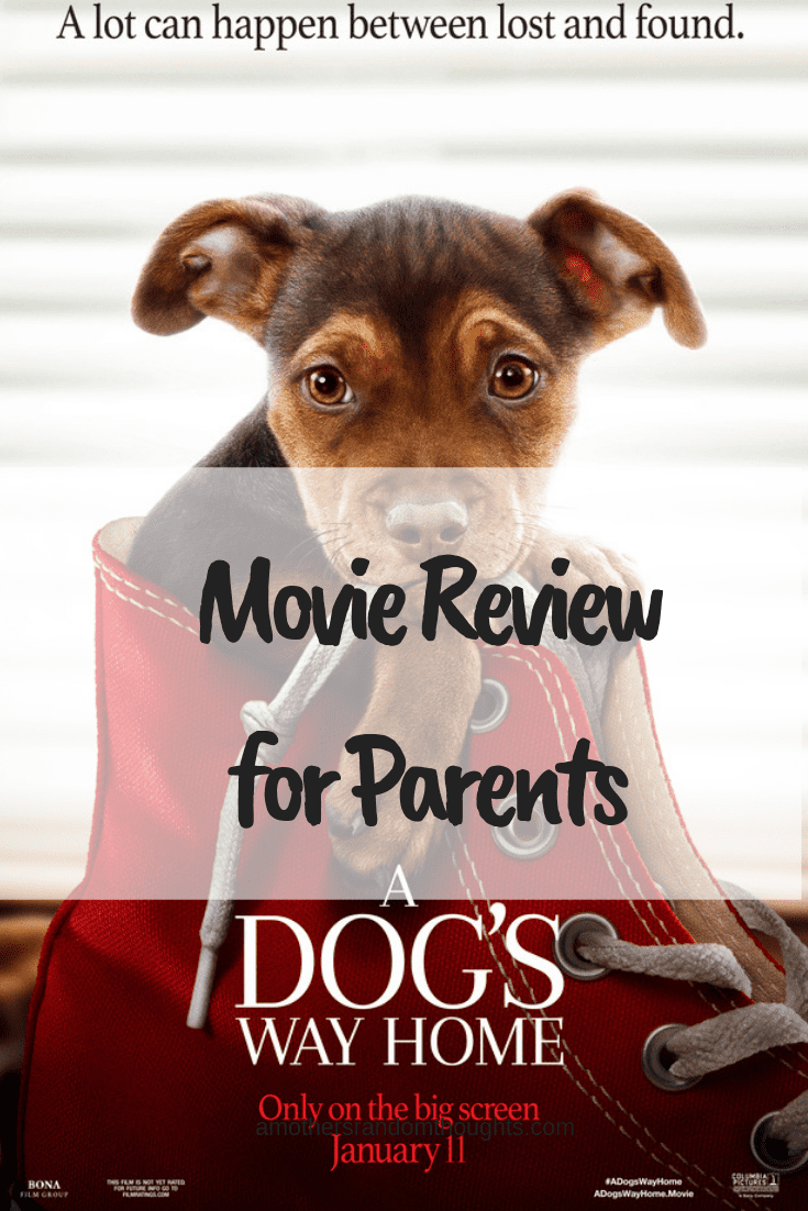 Parent Review of a Dog's Way Home Movie
