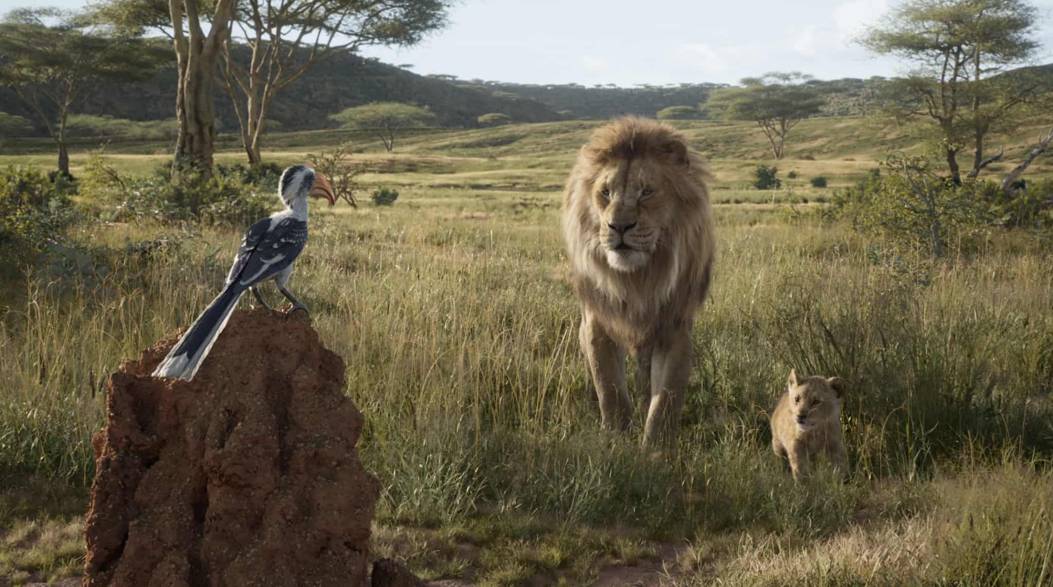 2019 Lion King Christian Movie Review A Mother S Random Thoughts