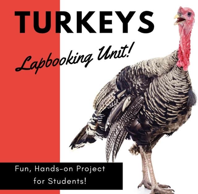 Turkeys Lapbooking Unit from My Teaching Library