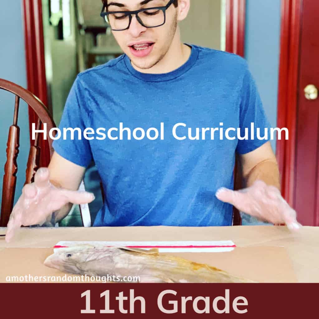 11th Grade Homeschooling