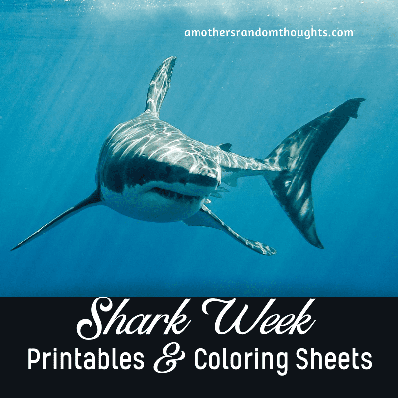 Shark Week Printables and Coloring Sheets FREE