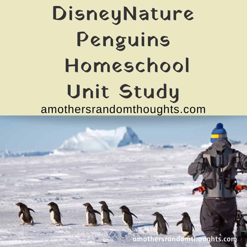 DisneyNature Penguins Homeschool Unit Study