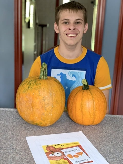 Boy with 2 pumpkins