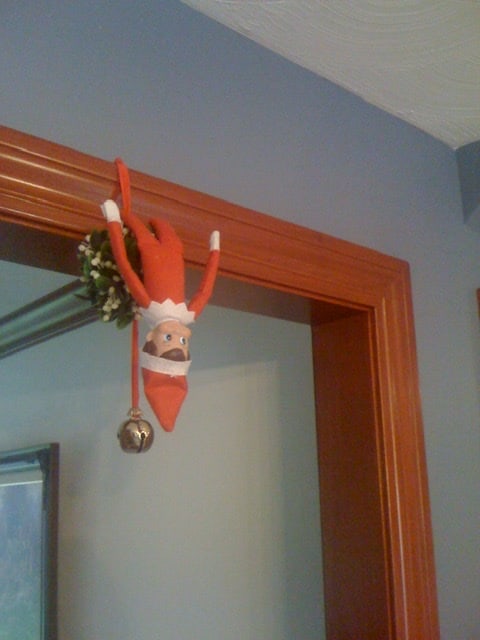 Elf on the Shelf hanging from the Mistletoe