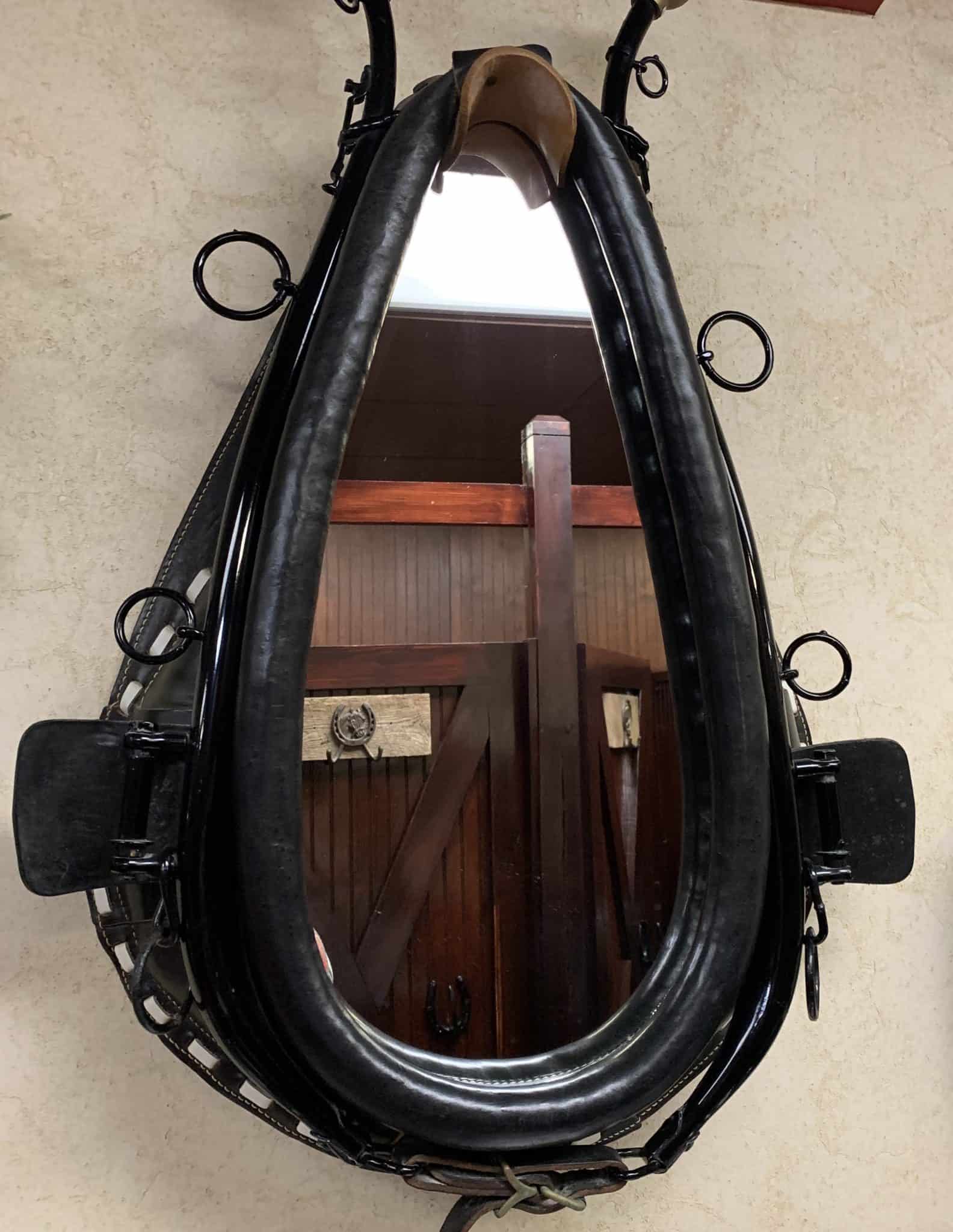 Bathroom Mirror at Dolly Parton's Stampede Dinner Attraction - Horse Harness