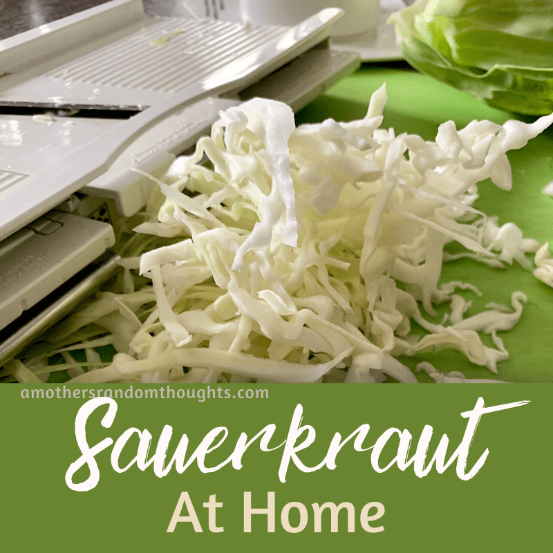 Making sauerkraut at home