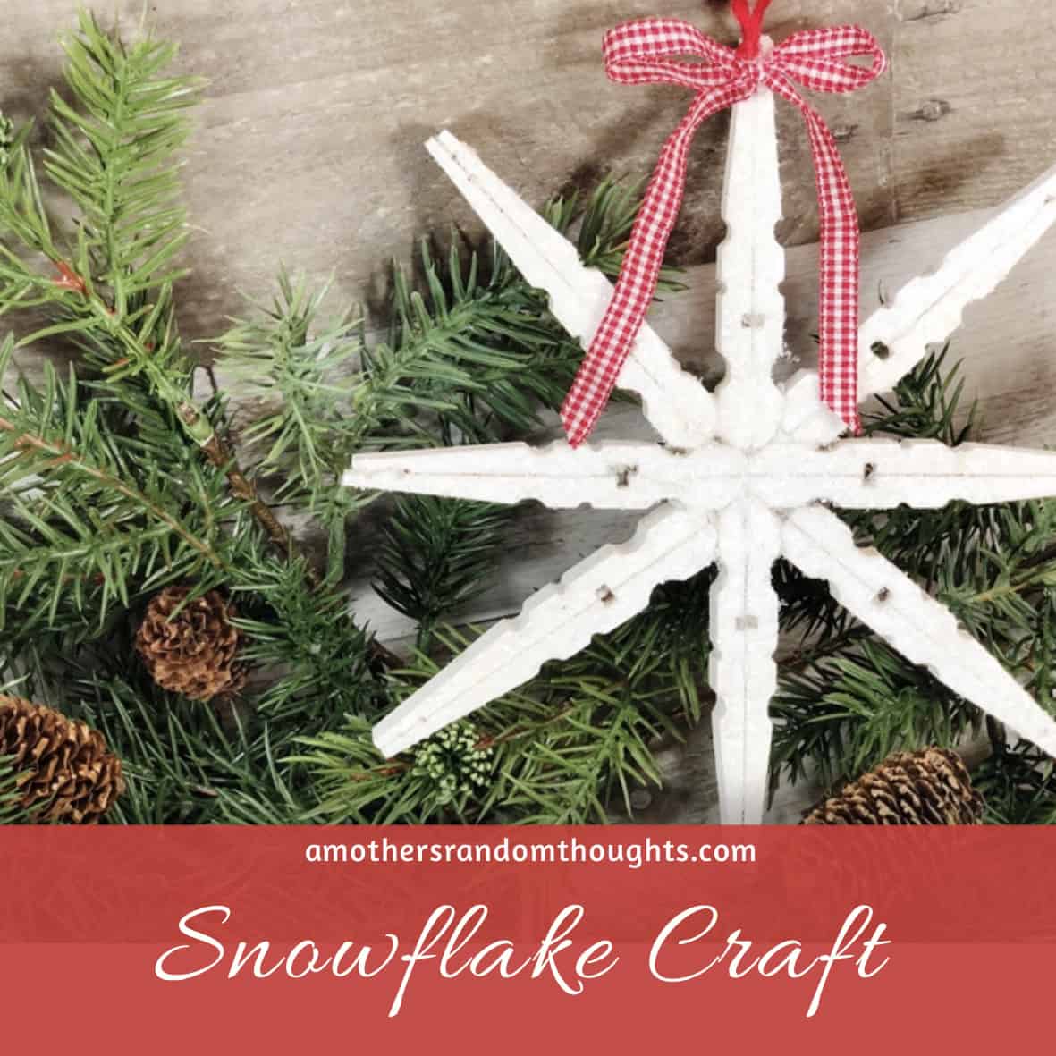 Snowflake craft for pinterest