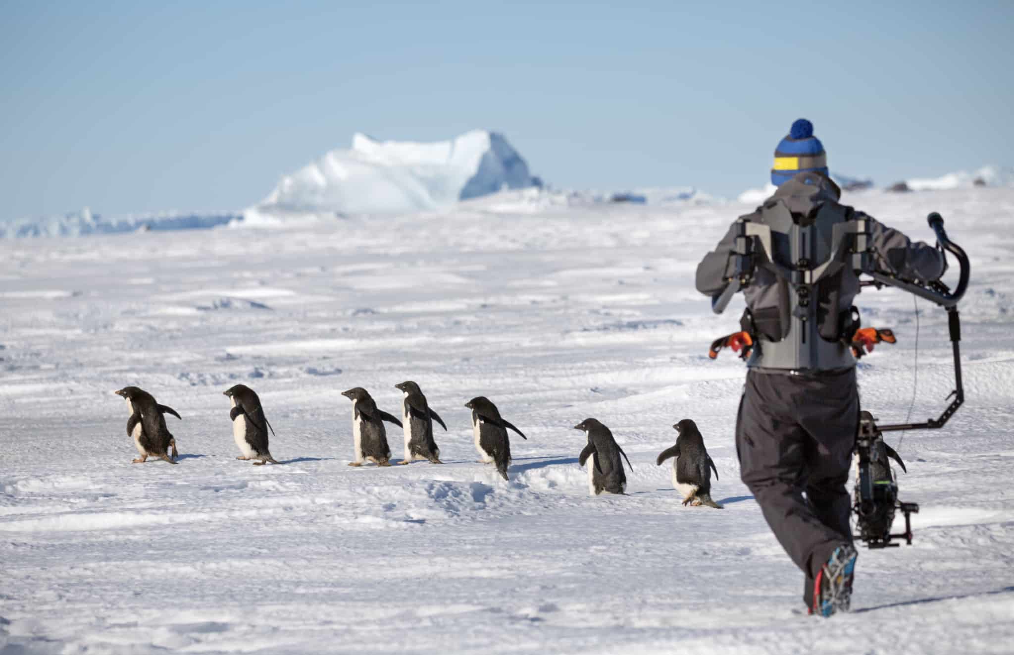 Behind the scenes footage of DisneyNature Penguins