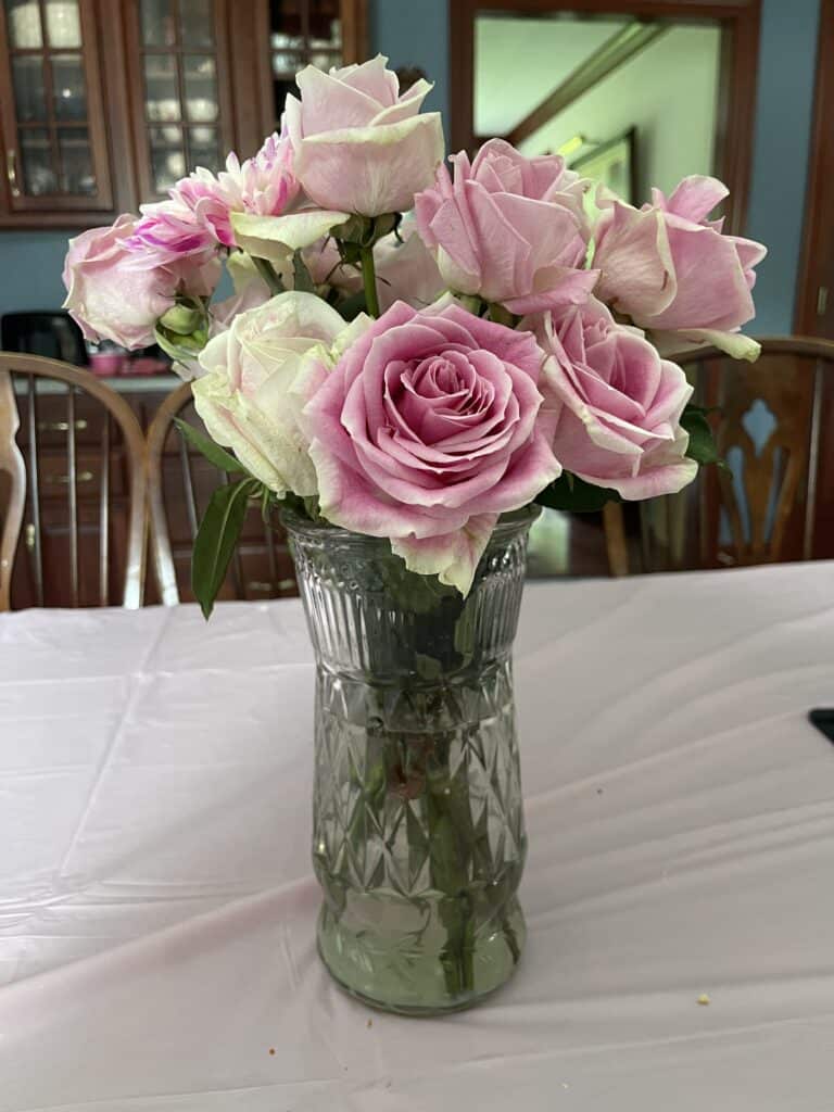 Pink roses in a clear glass vase