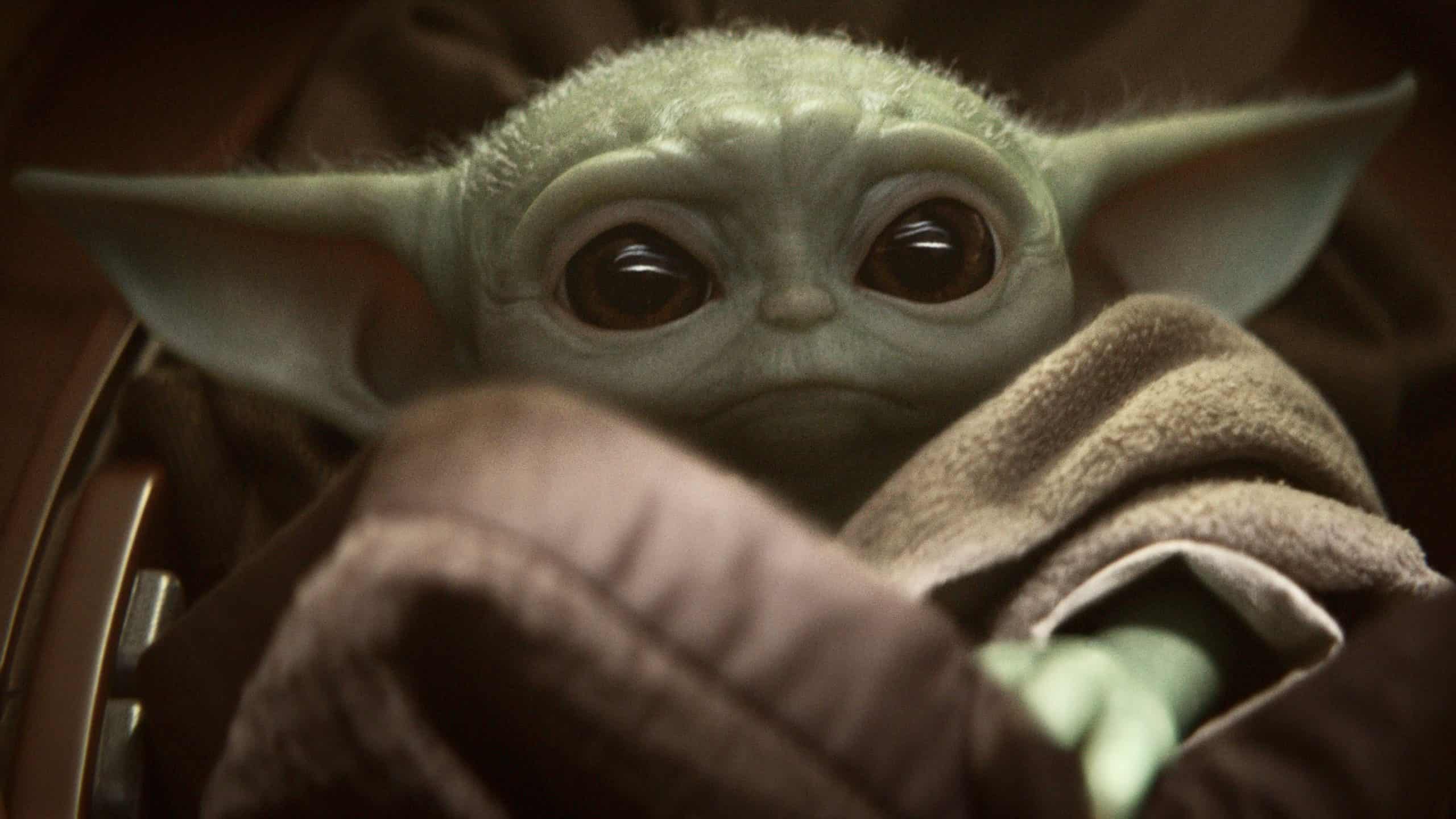The Child from the Mandalorian Baby Yoda