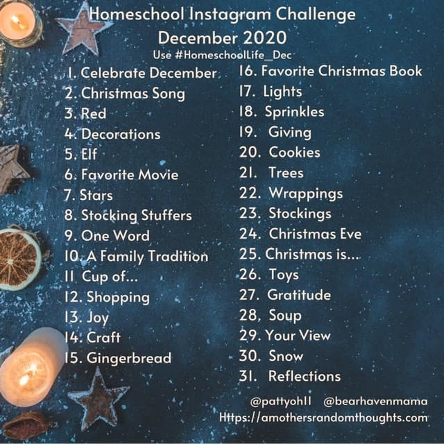 Homeschool Instagram Photo Challenge December