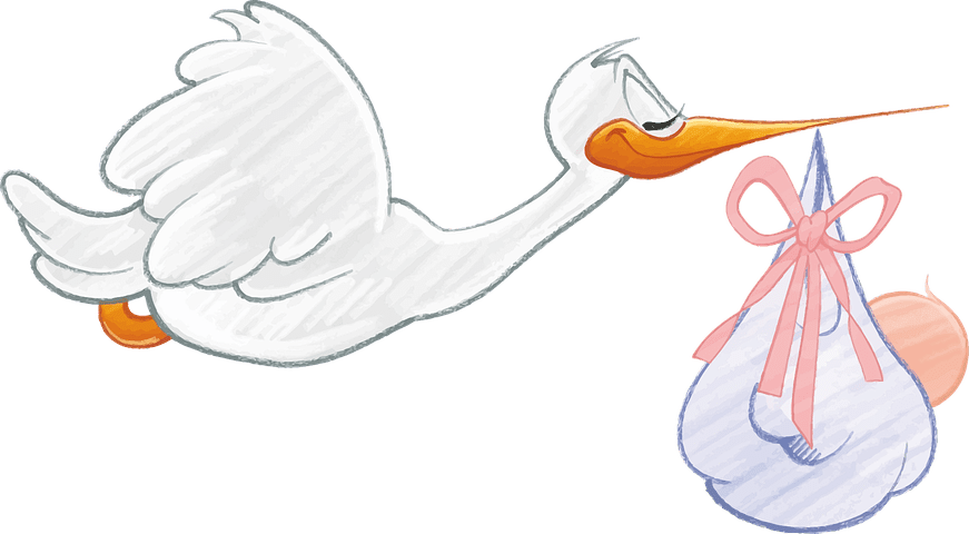 Having babies - stork delivering baby