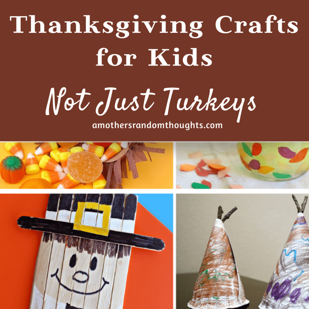 Thanksgiving Crafts for kids not just turkeys
