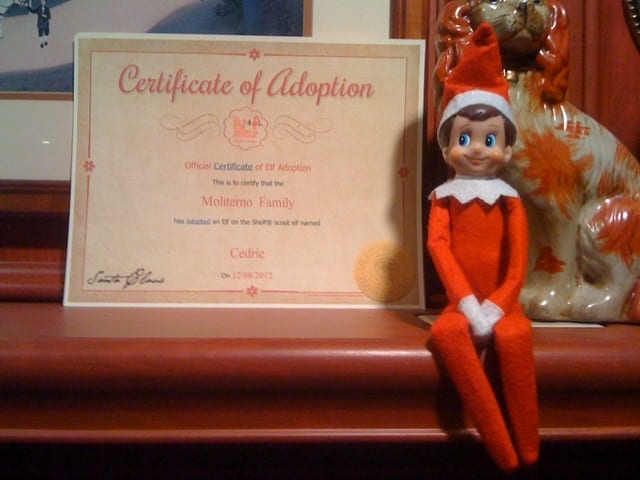 Elf on the Shelf with Adoption Certificate