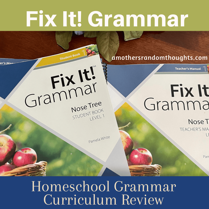 fix it grammar curriculum review