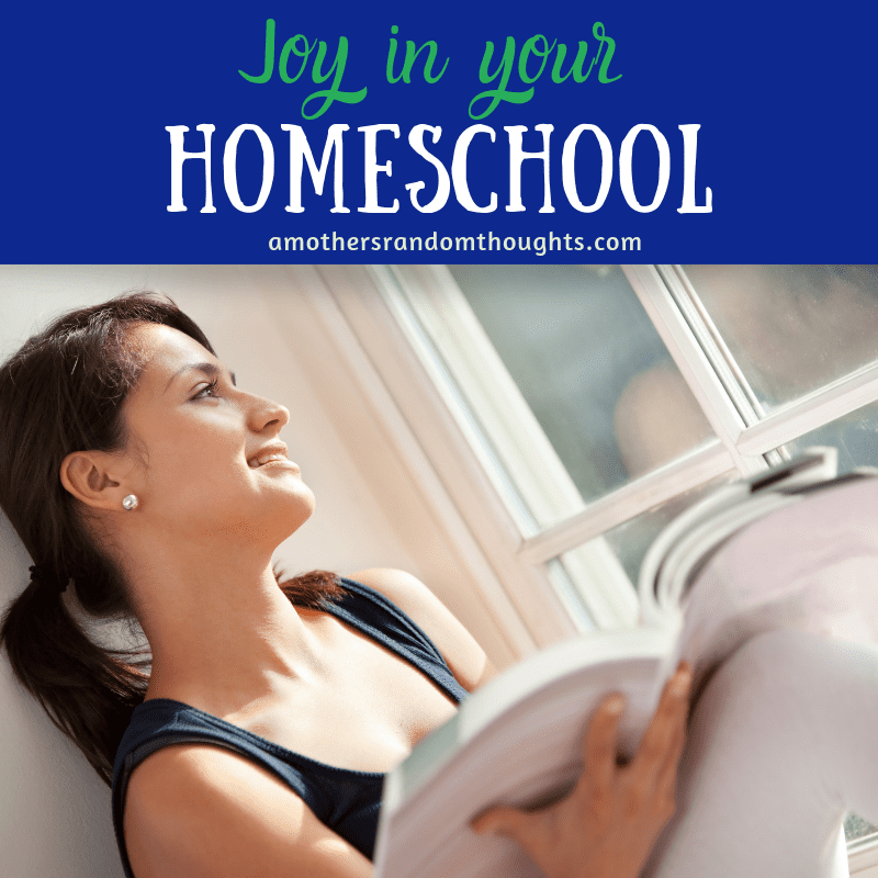Joy in Your Homeschool Day