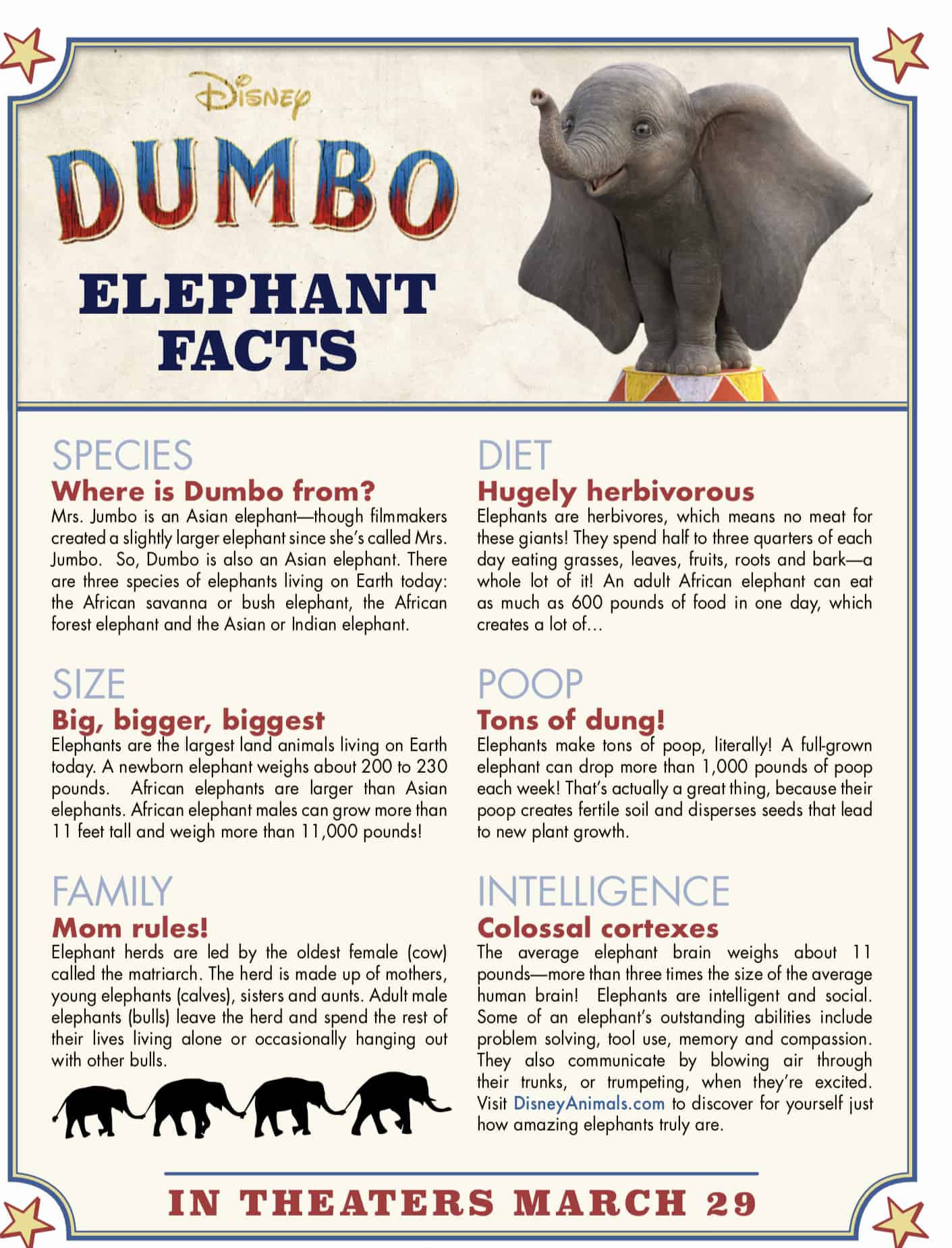 Disney's Dumbo Elephant Facts