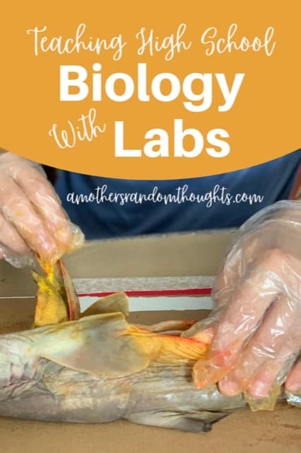 Teaching High School Biology with Labs - High School Science