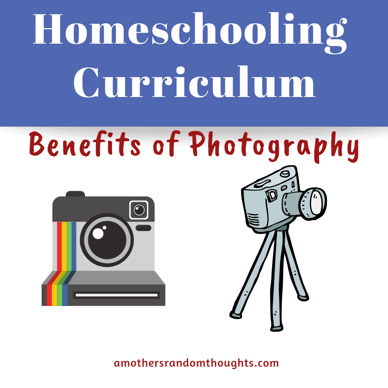 Do you include photography in your homeschooling curiculum?