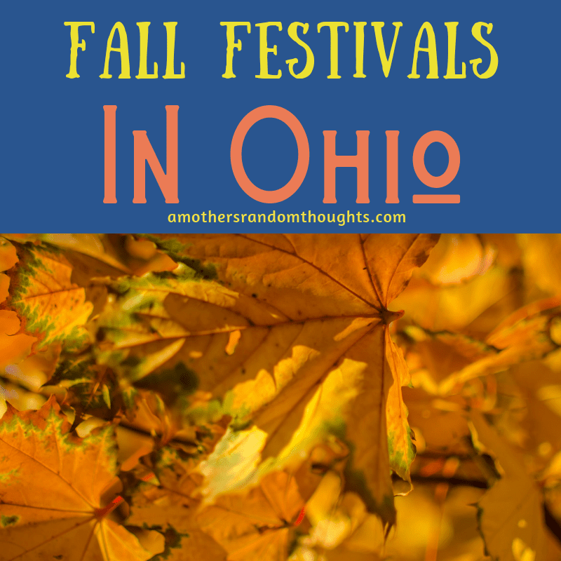 Fall Festivals in Northeast Ohio and Beyond