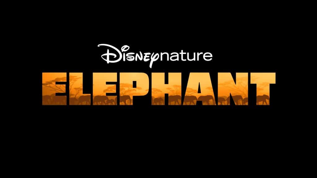 DisneyNature Elephant banner