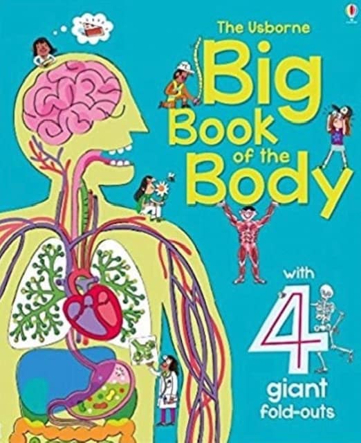 Big Book of the Body by Usborne features illustrations from inside the body.