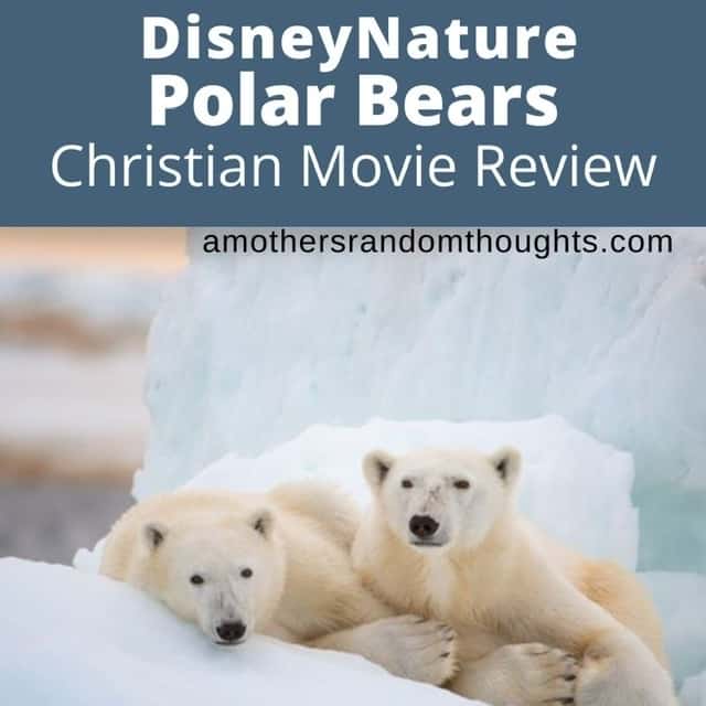 Polar Bear Movie Review