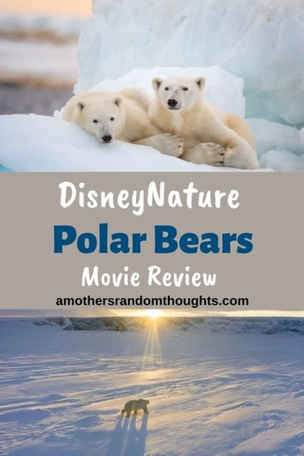 DisneyNature polar bears movie review