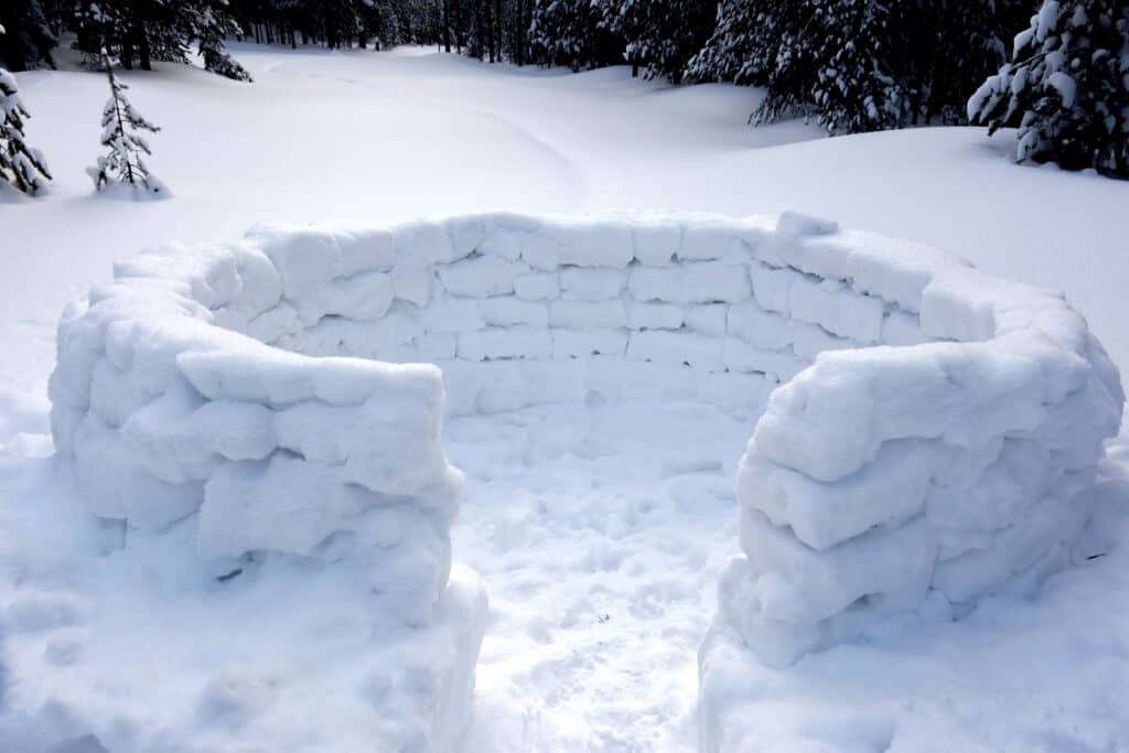 Snow fort or half an igloo in a snowy clearing among pine trees