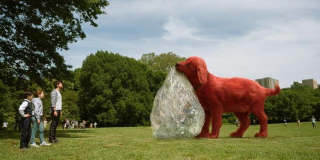 Clifford the big red dog with a popped human ball in the park