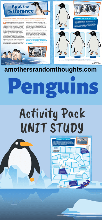 Penguins Activity Pack Unit Study