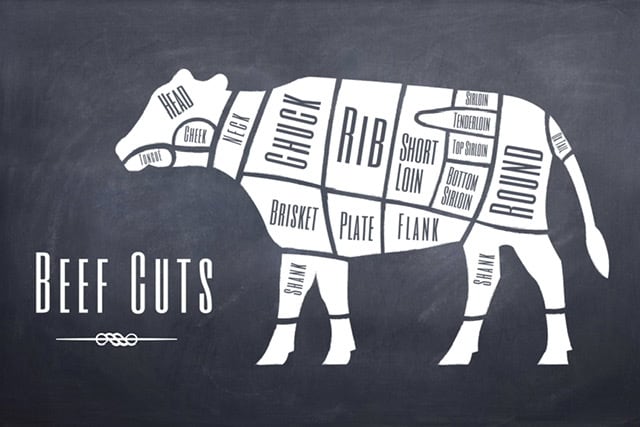 cow showing cuts of beef