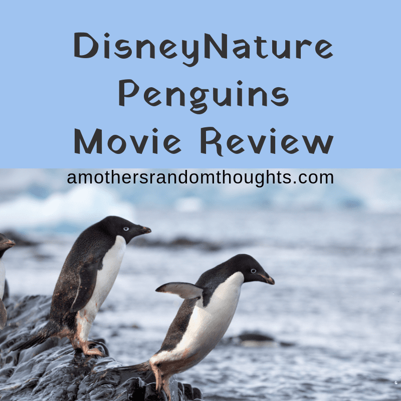 Penguins Documentary by DisneyNature - Movie Review