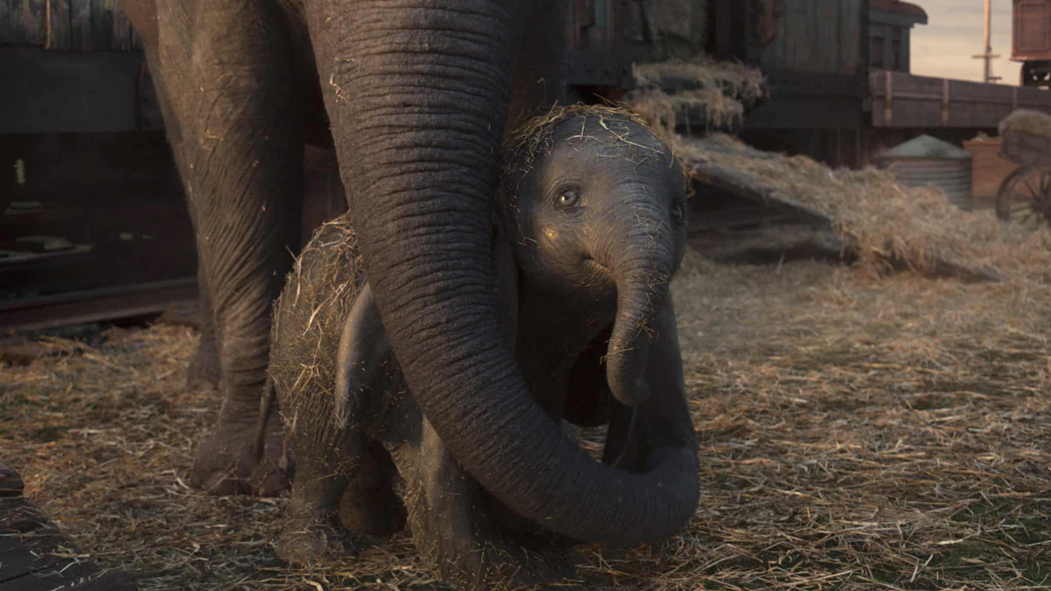 Dumbo and his mother Jumbo in Disney's remake by Tim Burton