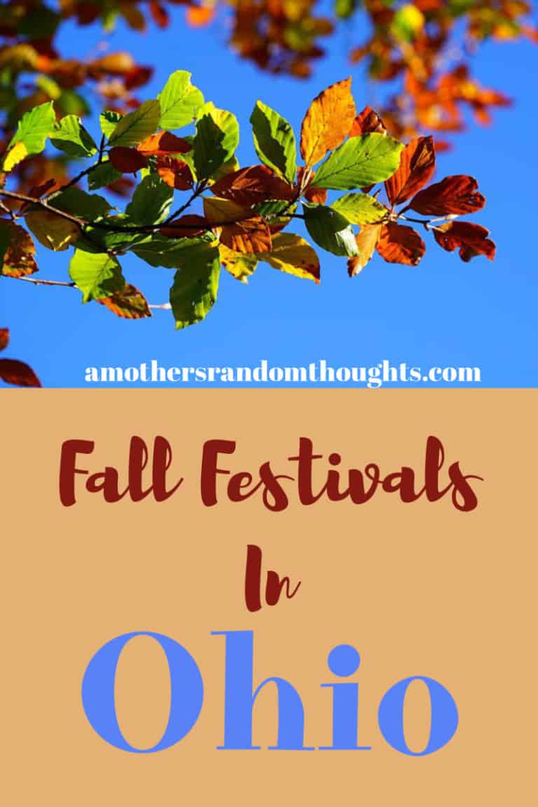 Fall Festivals in Northeast Ohio and Beyond A MOTHER'S RANDOM THOUGHTS