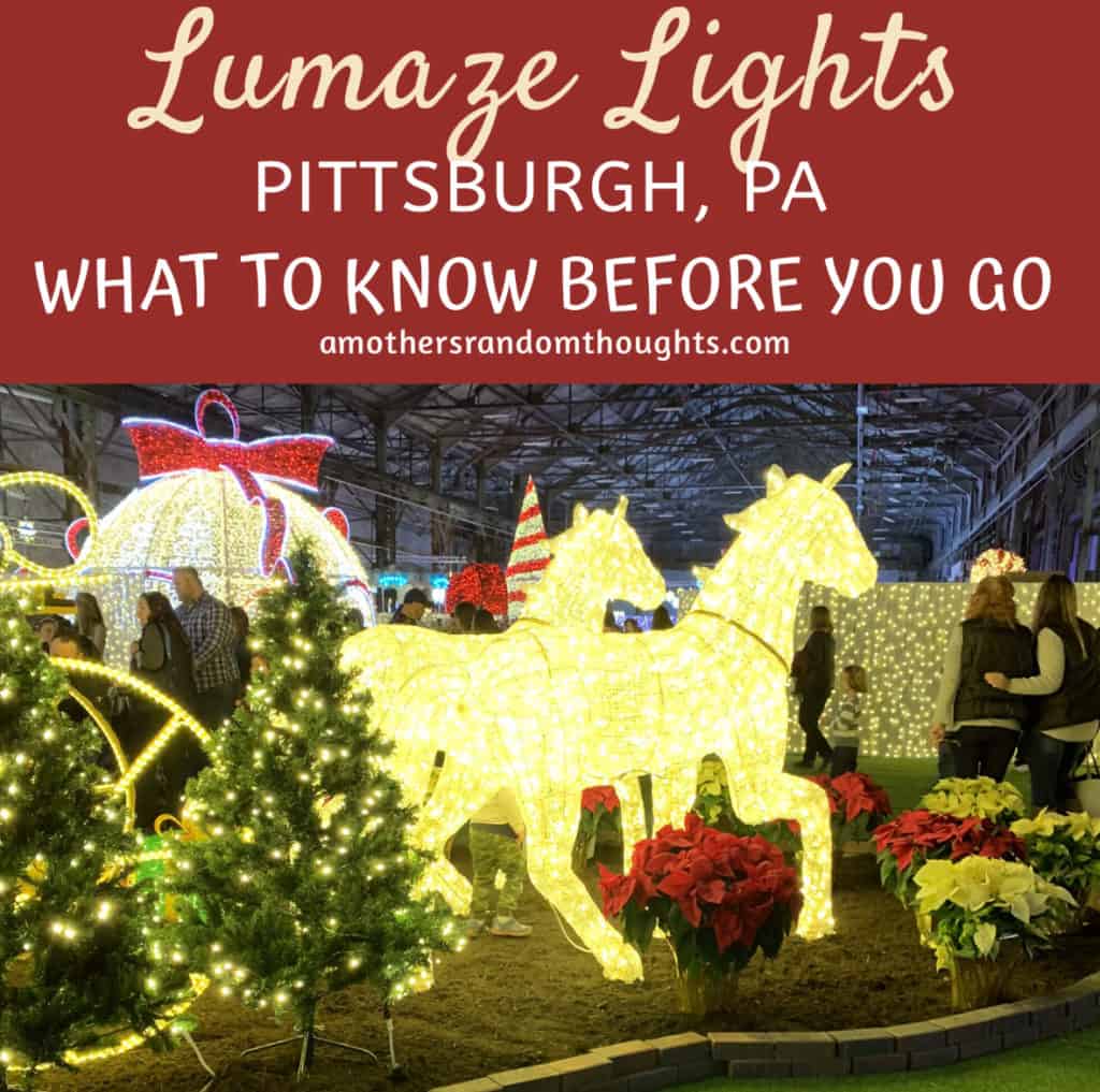 What to know before you go to Lumaze Pittsburgh