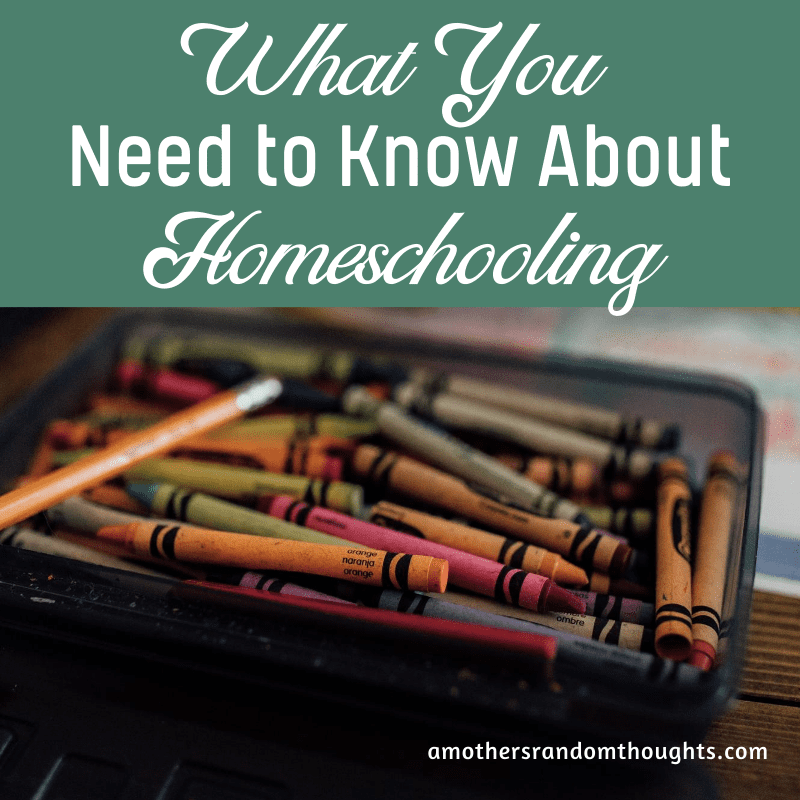 What You need to know about homeschooling