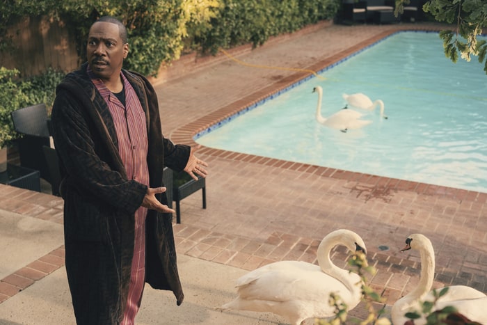 Eddie Murphy near an in ground pool with swans