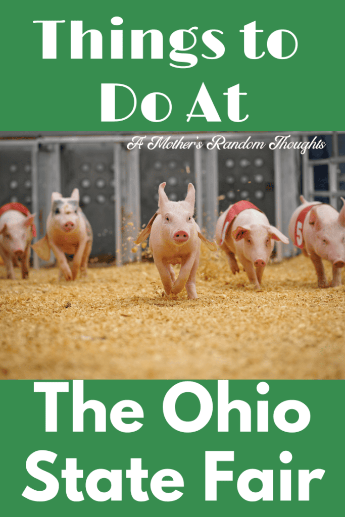 Things to do at the Ohio State Fair. PHoto of Pig races