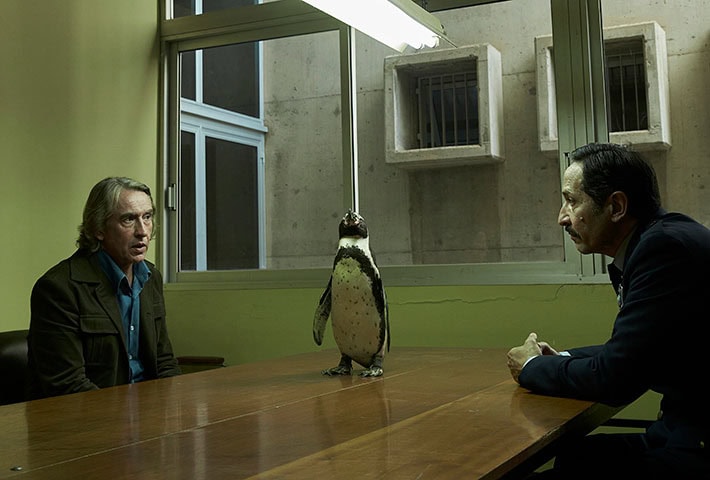 The Penguin Lessons starring Steve Coogan releases into theaters March 28, 2025