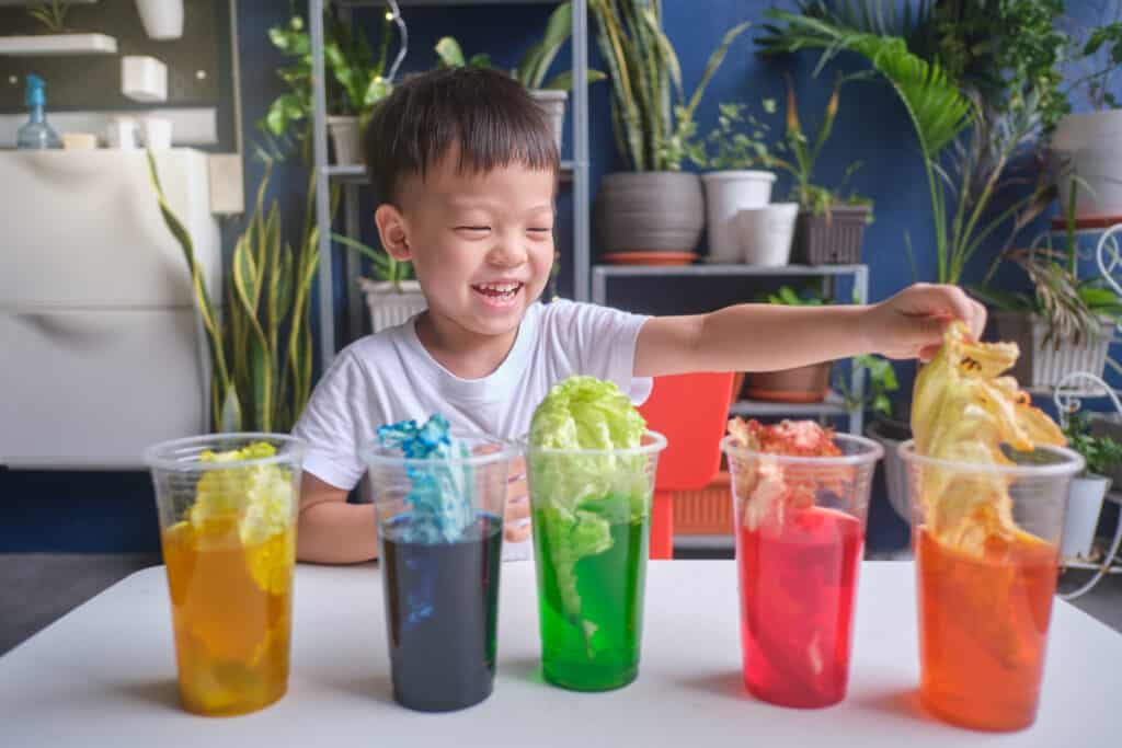 young asian boy conducting a science experiment with cabbage and colored water. Five glasses, one with yellow water, blue water, green water, red water and orange water.