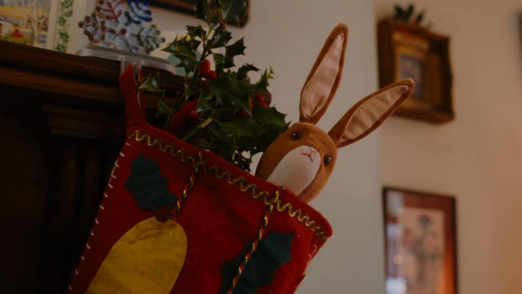 Photo of the Velveteen rabbit in a Christmas stocking with a sprig of holly.